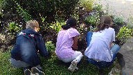 Welcome to our Eco Church pages